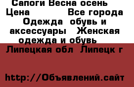 Сапоги Весна осень  › Цена ­ 1 700 - Все города Одежда, обувь и аксессуары » Женская одежда и обувь   . Липецкая обл.,Липецк г.